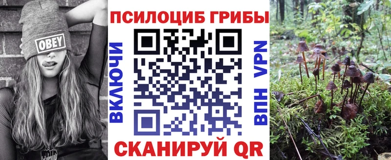 цены   даркнет состав  Галлюциногенные грибы мицелий  Артём 